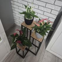 Produktbild Ruhhy Stehender Blumenständer 67cm 25626
