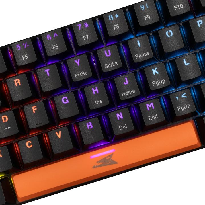Actual product image Baracuda Computer keyboard BGK-03121 Dolphin Black US Mechanical Blue Switches (US, Cable)