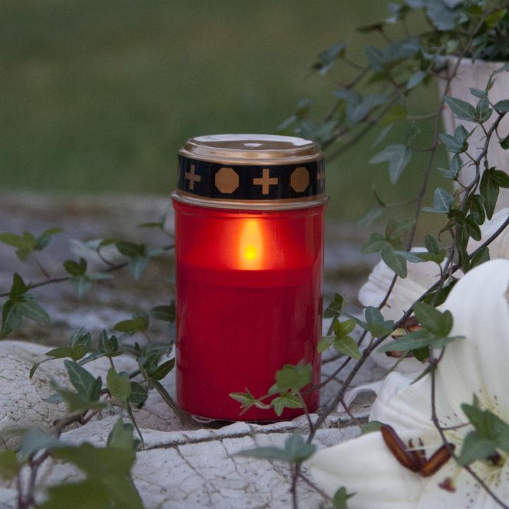 Immagine prodotto Star Trading Sereno (1 x)