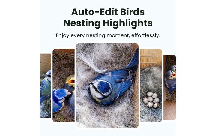 Actual product image Birdfy Nesting box with camera and solar