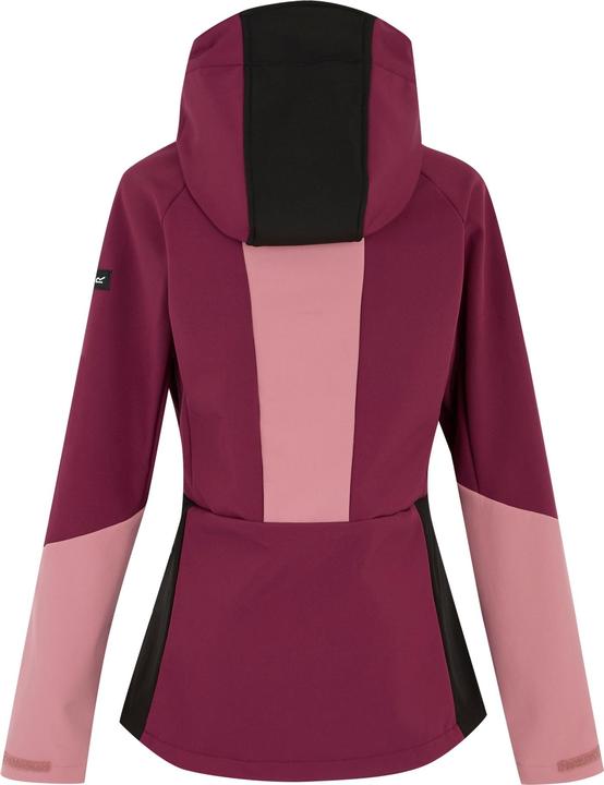 Actual product image Regatta Desoto Softshell (44, XL)