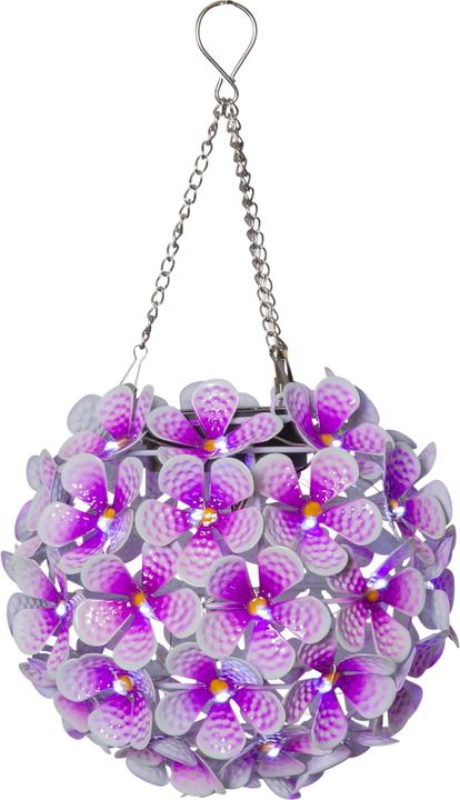 Produktbild Star Trading Hortensia (IP44)