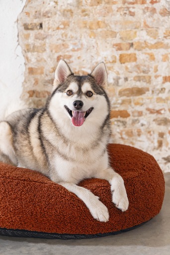 Productafbeelding Designed by Lotte Geribbeld (Hond)