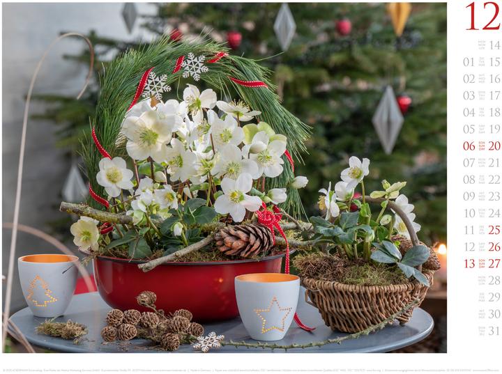 Image du produit Blumenzauber Kalender 2026 (45 x 33 cm, Anglais, Français, Allemand)