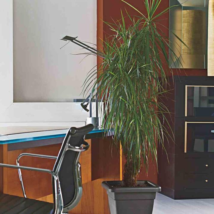 Produktbild Euro3plast Krea (31 cm)