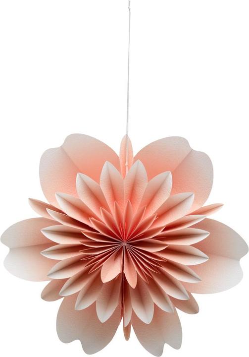 Produktbild BYYU Alici