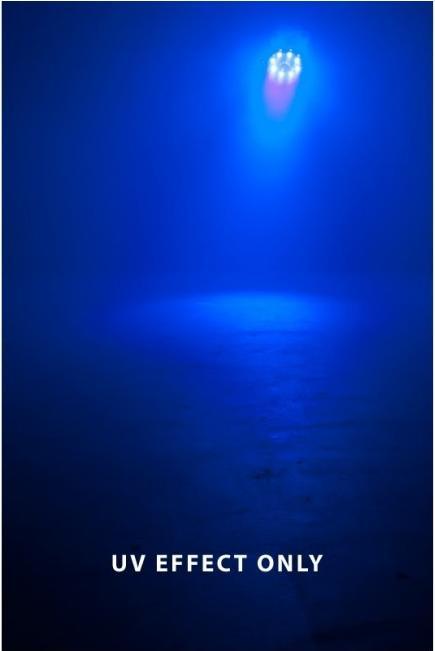 Image du produit American Audio American DJ Stinger II (5 W, LED)