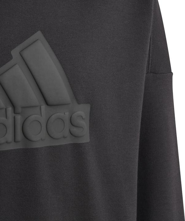 Image du produit Adidas Sweat à capuche Kid's Future Icons Logo (140)