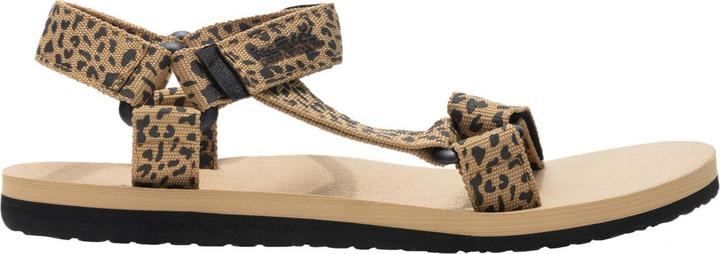 Black, Leopard print