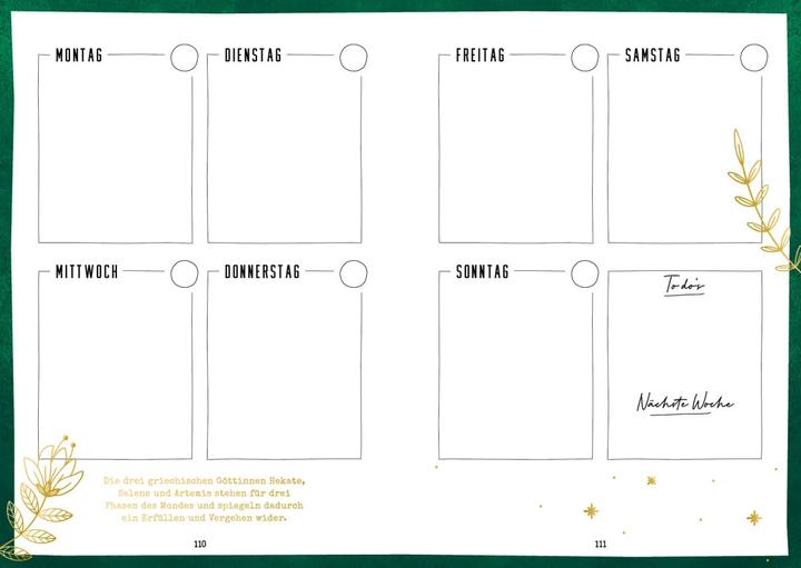Actual product image Mein Mondphasen-Journal (German, 2023)