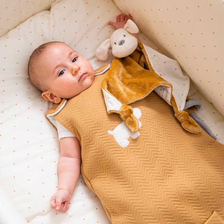Image du produit Nattou Charlie grand Doudou chien