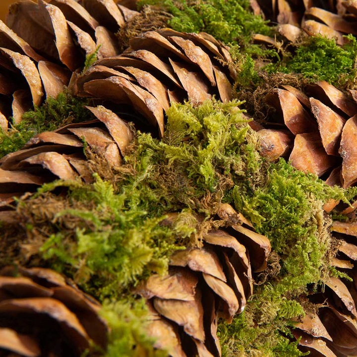 Immagine prodotto VEG and the City Corona d'Avvento Cono di paglia (50 cm)