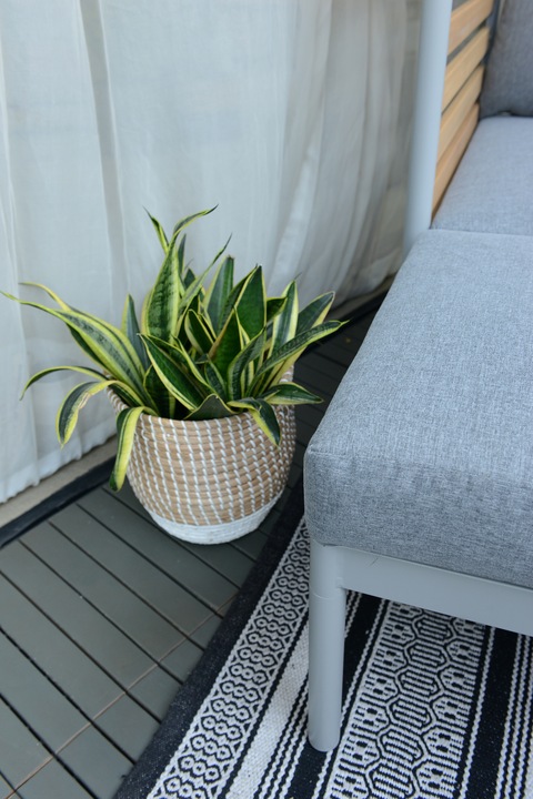 Actual product image Giardimo Loveseat