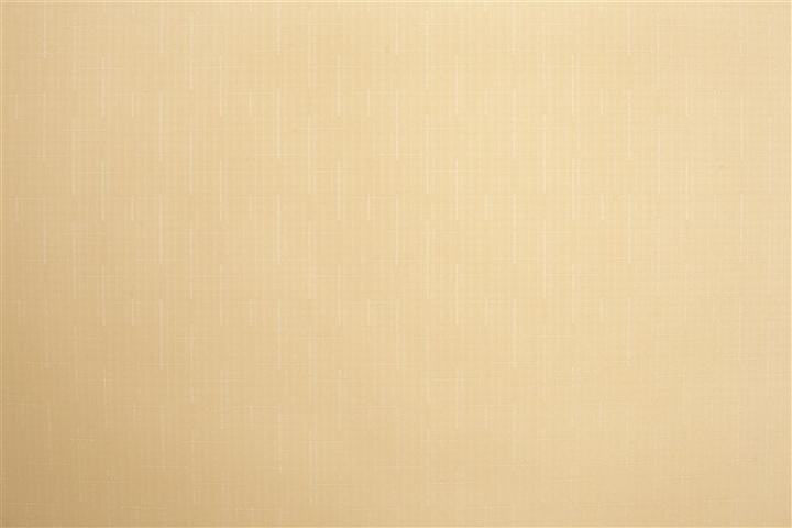 Produktbild Domoletti ROLLER BLIND SHANTUNG 877 180X170 (180 x 170 cm)