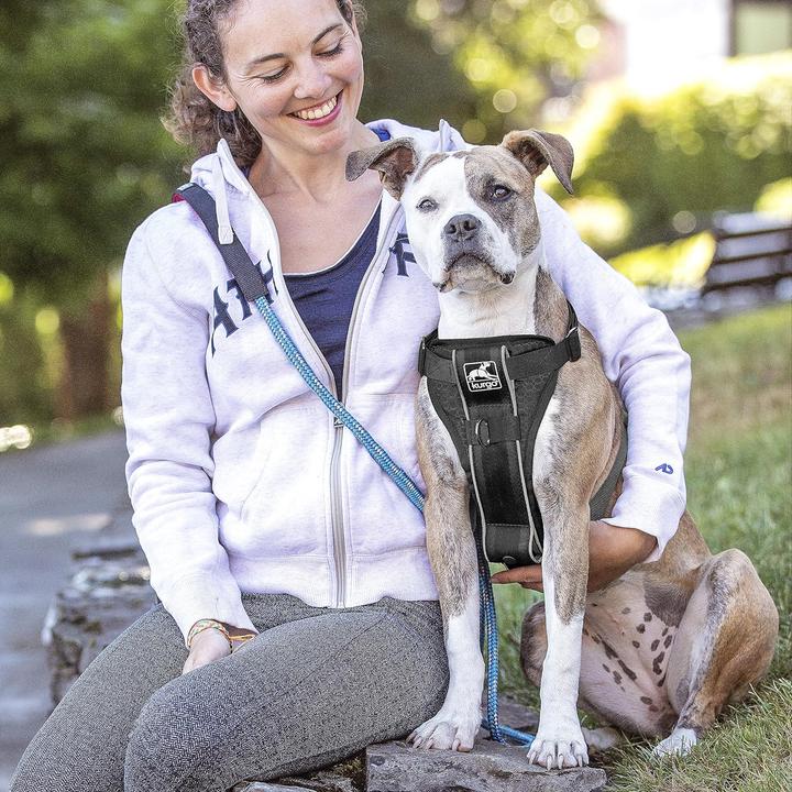 Immagine prodotto Kurgo Tru-Fit Smart Harness (XS, Cane, Generale, Jogging, Passeggiare, Sport cane)
