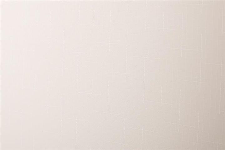 Produktbild Domoletti ROLLER BLIND SHANTUNG 875 100X170 (100 x 170 cm)