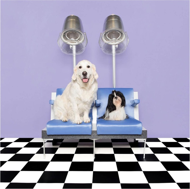 Productafbeelding Tangle Teezer Pet Teezer Ontwarrend Paars