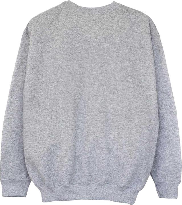 Image du produit The Nightmare Before Christmas - Sweat MASTER FRIGHT - Garçon (128)