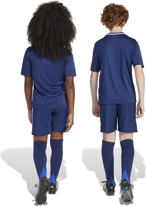 Produktbild adidas Tastigo25 Short Kids (152)