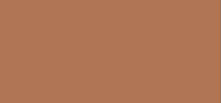 Actual product image Bobbi Brown Skin Long-Wear Concealer Stick & Corrector Stick (Deep bisque)