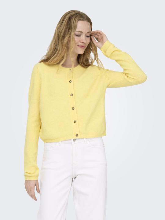 Produktbild JdY Jdychloe Life L/S Cardigan Knt Noos (M)