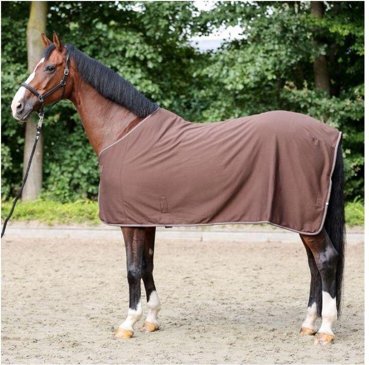 Produktbild Kavalkade Elegance (125 cm)