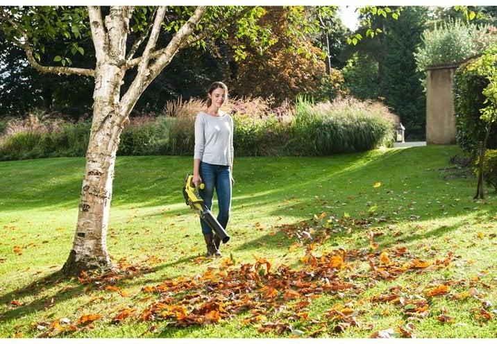 Actual product image Ryobi RBL18JB-40F (Rechargeable battery operated, Leaf blower)