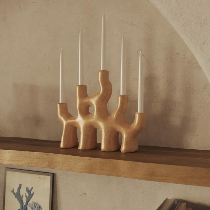 Actual product image Johann Jakob Accento (10 pcs.)