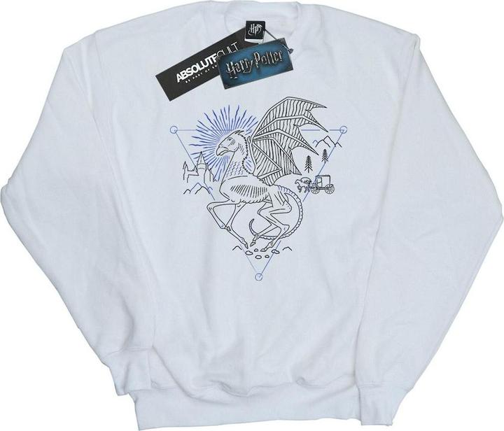 Produktbild Thestral Line Art Sweatshirt (L)