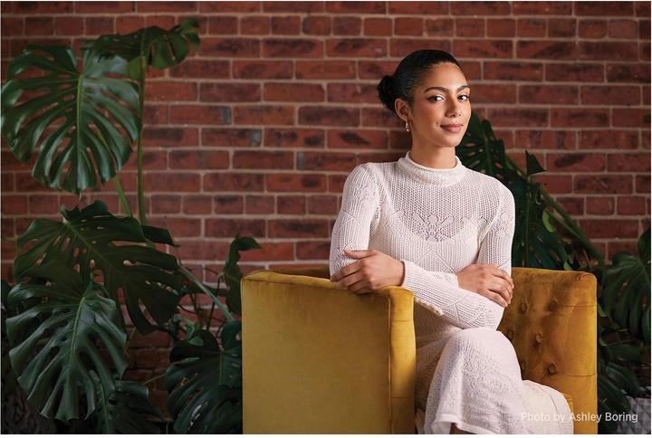 Produktbild Westcott ClickBox 2x3 (Bowens) (Softbox)