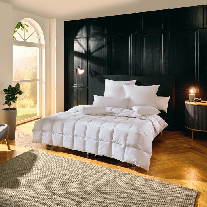 Image du produit Erwin Müller Toronto (360 g, 200x200 cm)