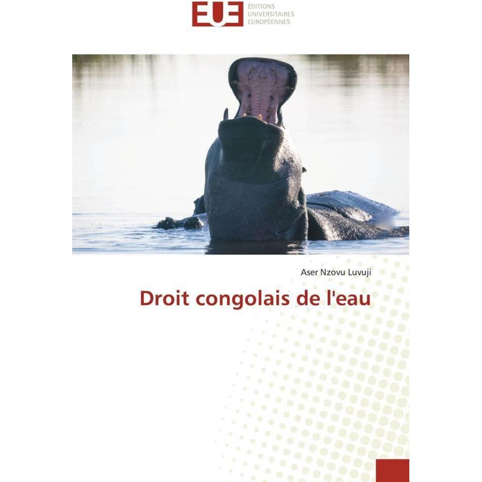 Thumbnail - Droit congolais de l'eau, Fachbücher von Aser Nzovu Luvuji
