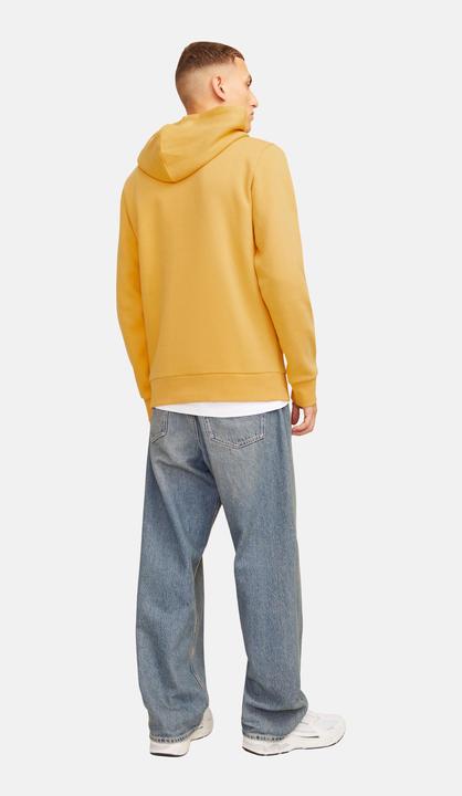 Produktbild Jack & Jones JJELOGO SWEAT HOOD 2 COL 24/25 NOOS (S)