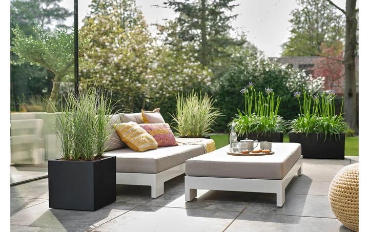 Produktbild Elho Vivo Next (39 x 40 x 39 cm)