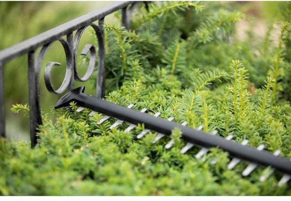 Actual product image Bosch Home & Garden UniversalHedgeCut 18-50 Kit (Rechargeable battery operated)