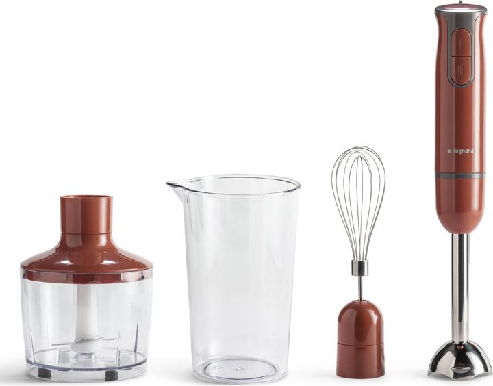 Produktbild Tognana Iridea Stabmixer mit Schneebesen