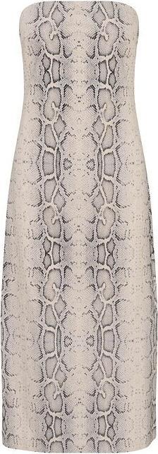 Grey Snake Print