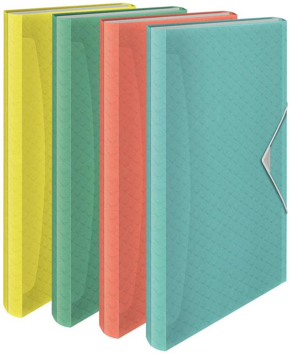 Immagine prodotto Esselte Cartella del progetto (A4, 1 x)