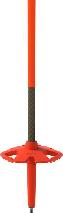 Actual product image One Way TR Carbon Vario (110 - 145 cm)