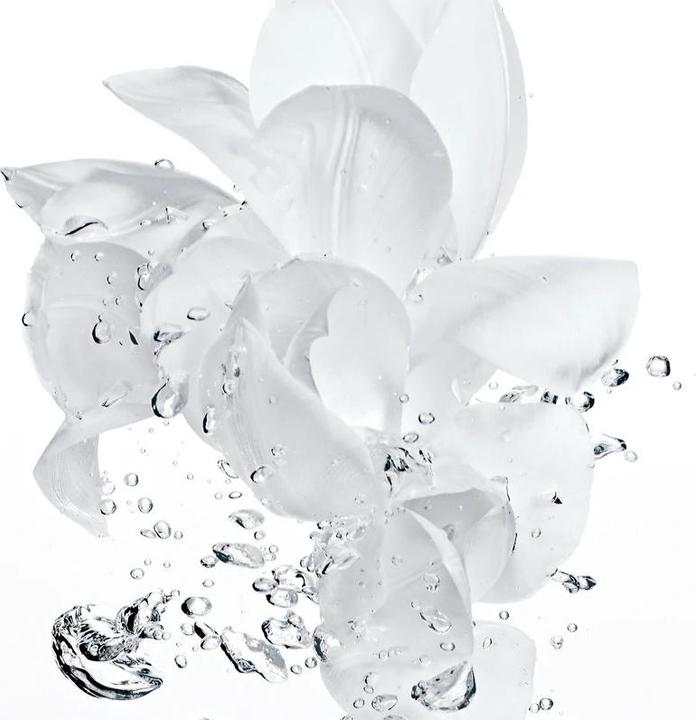 Actual product image Dior Hydra Life (Make-up remover, 175 ml)