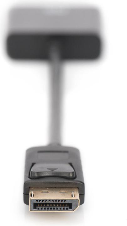 Image du produit Digitus DisplayPort vers (DVI, 15 cm)