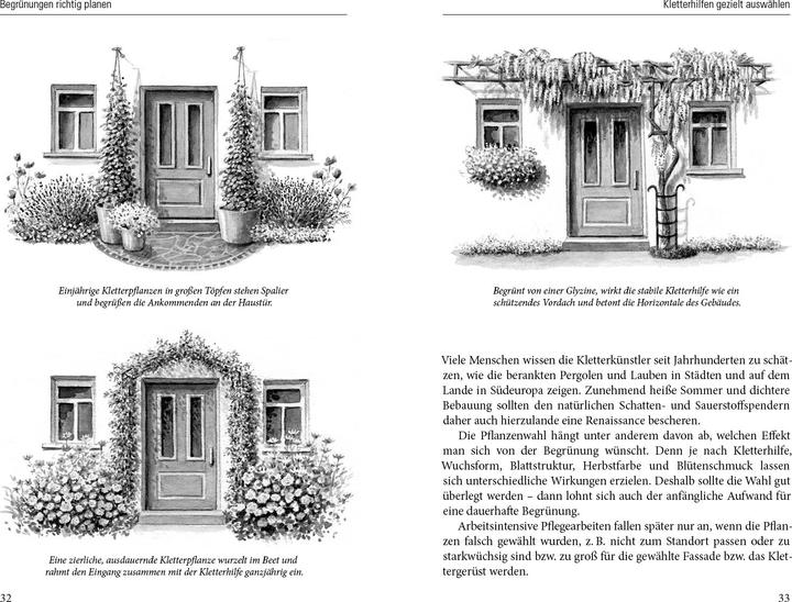 Produktbild Grüne Wände für Haus und Garten (Deutsch, Brigitte Kleinod, 2014)