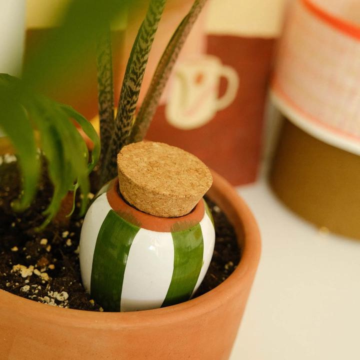 Image du produit Pepin Olla (Cône d'argile)