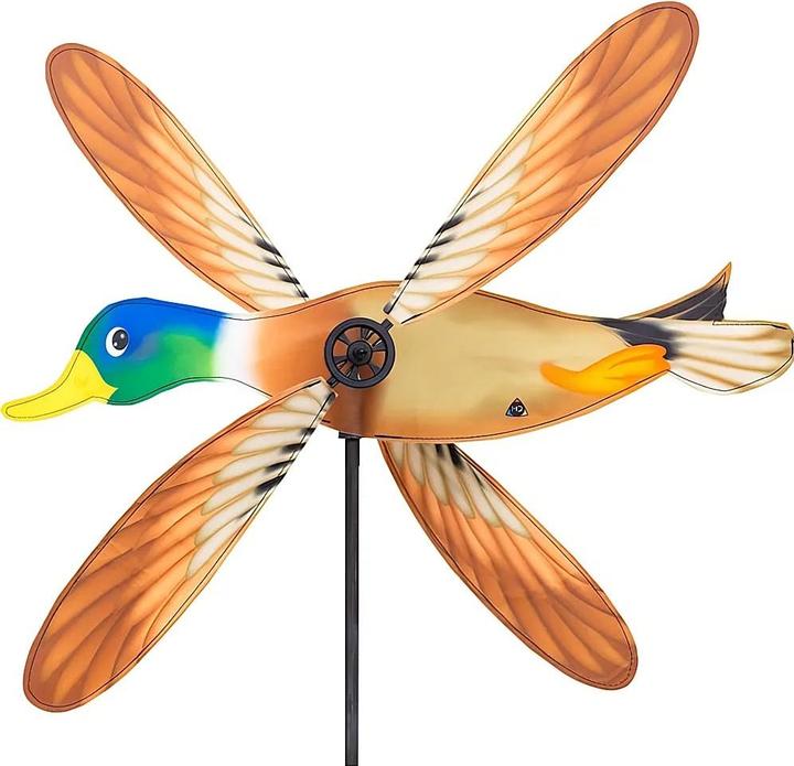 multicolore