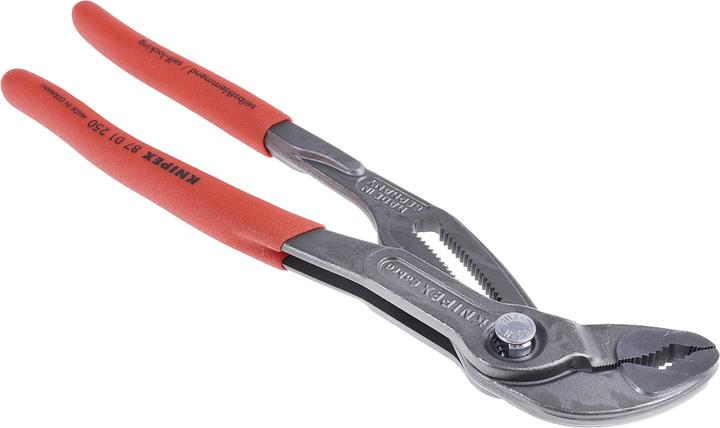 Actual product image Knipex Cobra (250 mm)