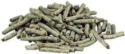 Produktbild Hobby Infusorien mit Spirulina Protogen 20 ml (Zierfische, 20 ml)