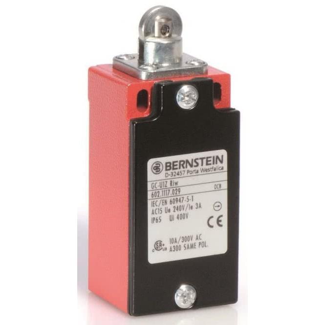 Bernstein Grenztaster, Taster + Schalter