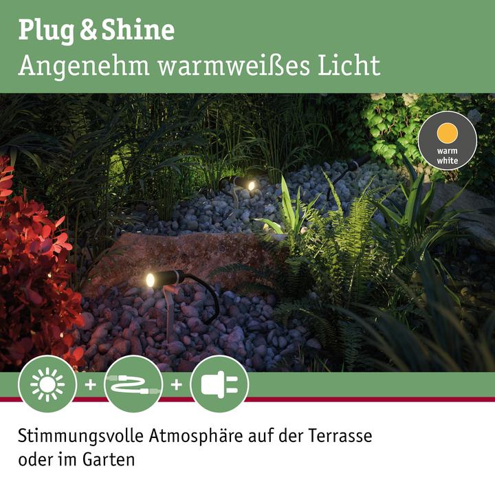 Image du produit Paulmann Kit de démarrage Outdoor Plug & Shine Plantini (200 lm, IP65)