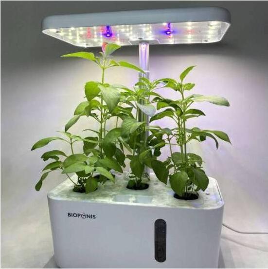 Actual product image Bioponis Eden