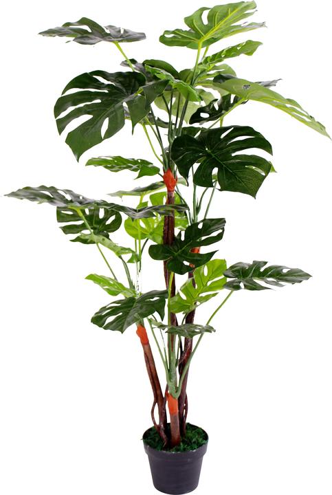 Image du produit Paperflow MONSTERA Kunstpalme 130,0 cm (130 cm)